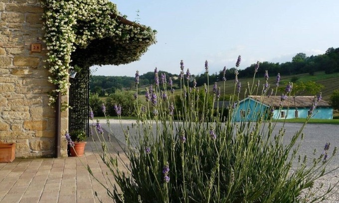 Santa Maria d'Alto Cielo House | Your Country House with pool in the green
