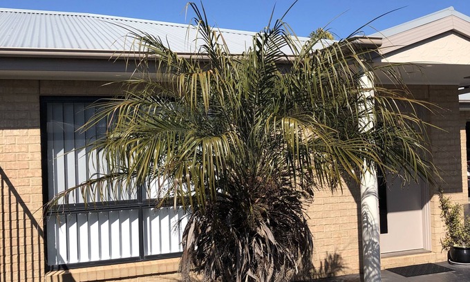 Yarrawonga Apartment | Your home away from home just across from the lake