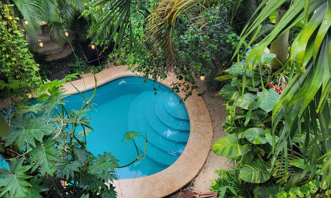 La Veleta Apartment | Your Secret Oasis in Tulum. A jungle getaway right in the middle of la Veleta.