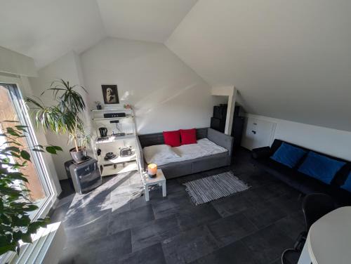 Koenigswinter House | Zimmer "Ölberg" im Siebengebirge