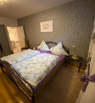 Waldbockelheim House | Zimmer 2 inkl eigenem Bad