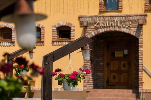 Pozega Hotel | Zlatni Lug