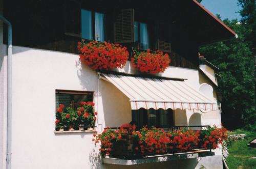 Idrija Apartment | ZRM center