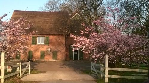 Heidmuhlen Apartment | Zum roten Gaul