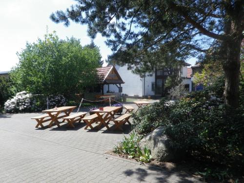 Chorin Apartment | Zum Sudhaus im Herzen der Schorfheide