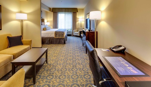 Executive Room, 1 King Bed, Non Smoking, Refrigerator & Microwave (Shower Only;with Sofabed)