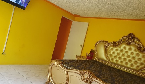 Luxury Apartment
