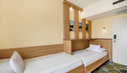 Basic Twin Room