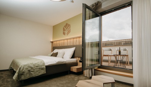Family Double Room, 1 King Bed with Sofa bed, Ensuite