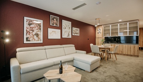 Deluxe Apartment, 1 King Bed with Sofa bed, Kitchenette