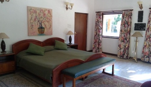 Executive Bungalow