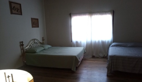 Comfort Single Room