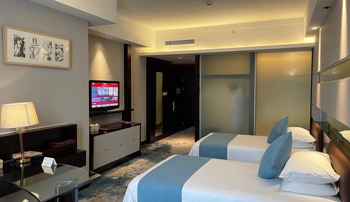 Deluxe Twin Room