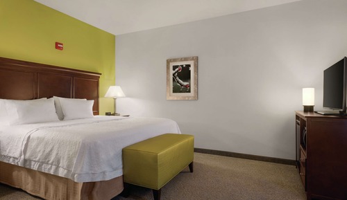 Room, 1 King Bed, Accessible, Bathtub (Mobility)