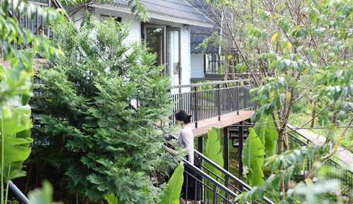 Family Villa