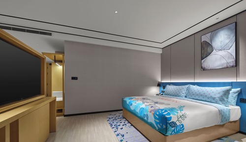 Family Room, 1 King Bed
