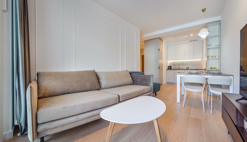 Apartment (31)