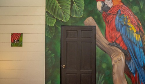 Senior Room