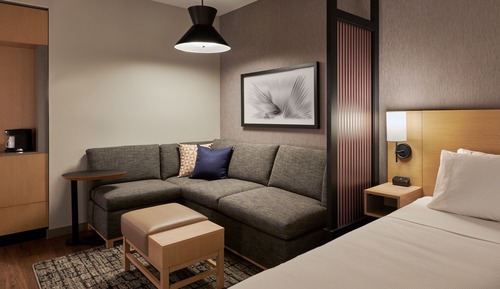 Room, 1 King Bed with Sofa bed