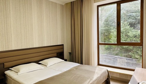 Classic Double Room
