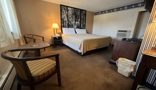 Standard Single Room, 1 King Bed