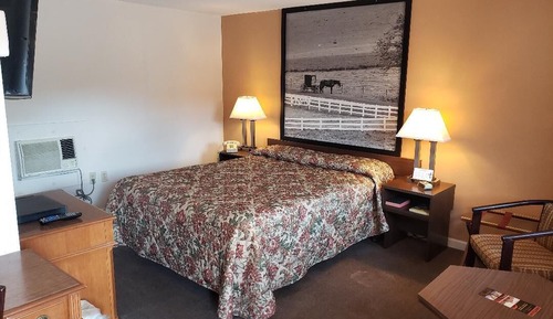 Standard Single Room, 1 Double Bed