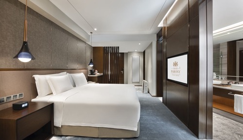 Executive King Bed Room