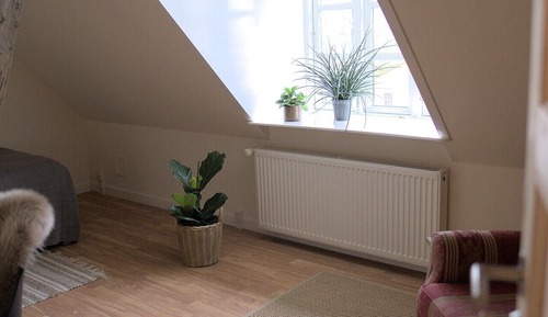 Comfort Single Room, First Floor, Shared Bathroom (Ground Floor)