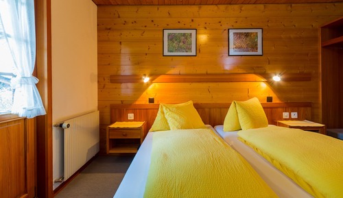 Basic Twin Room