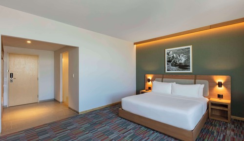 Room, 1 King Bed, Accessible (Roll-In Shower)