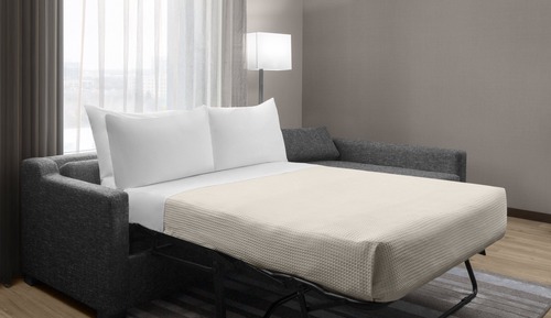 Room, 1 King Bed with Sofa bed (Hearing Accessible)