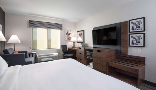 Room, 1 King Bed, Accessible, Non Smoking
