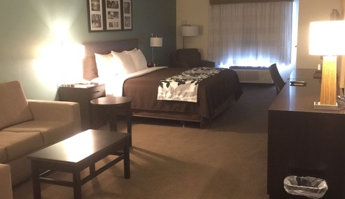 Standard Room, 1 King Bed, Non Smoking