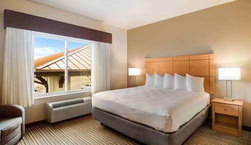 Suite, 1 King Bed, Non Smoking, Refrigerator & Microwave (Larger Room;with Sofabed)