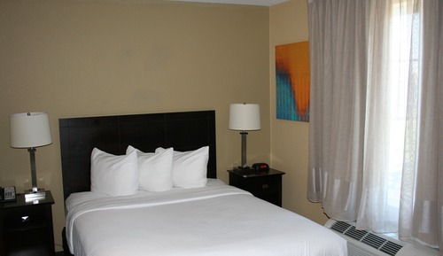 Standard Room, 1 Queen Bed with Sofa bed