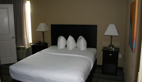 Basic Suite, 1 Queen Bed