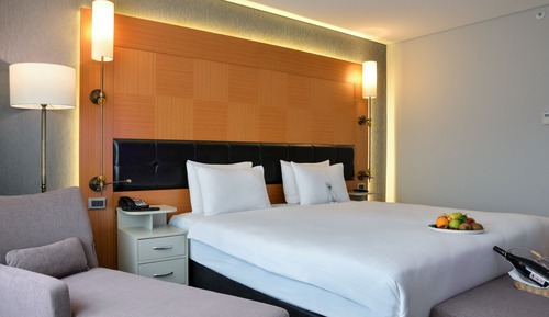 Business Suite, 1 Double Bed