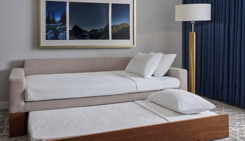Studio Suite, 1 King Bed with Sofa bed, Mountain View