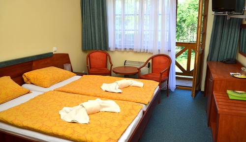 Standard Double Room Single Use