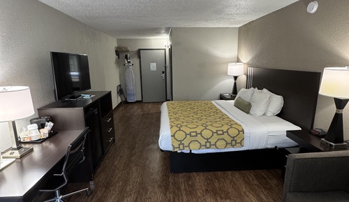 Standard Room, 1 King Bed, Accessible, Refrigerator & Microwave (with Sofabed)