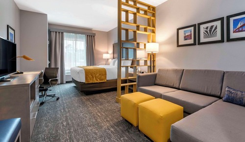 Suite, 1 King Bed with Sofa bed, Non Smoking