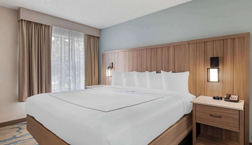 Suite, 1 King Bed with Sofa bed, Non Smoking (Upgrade)