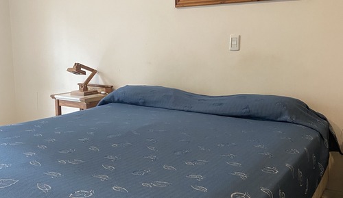 Business Apartment