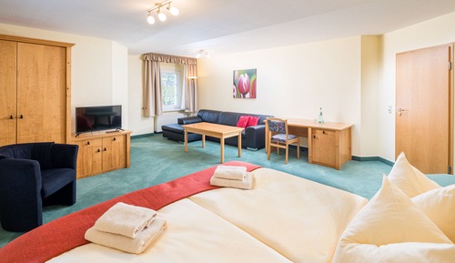 Junior Double Room