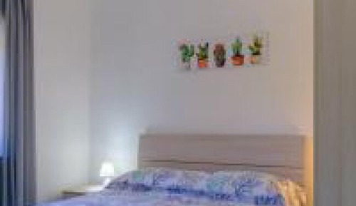 Classic Apartment