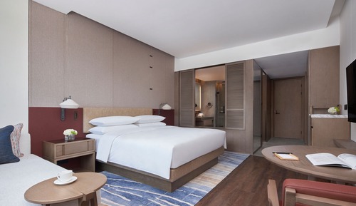 Room, 1 King Bed