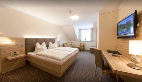 Standard Double Room, 1 King Bed