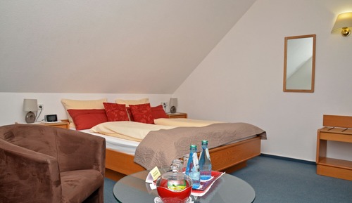 Business Double Room