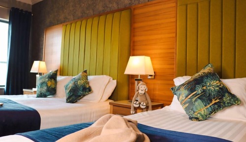 Standard Double or Twin Room