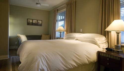 Junior Suite, 1 King Bed, Terrace